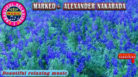Relaxing Music | Sleeping, Meditation, Stress Relief | [6254] ⭐️