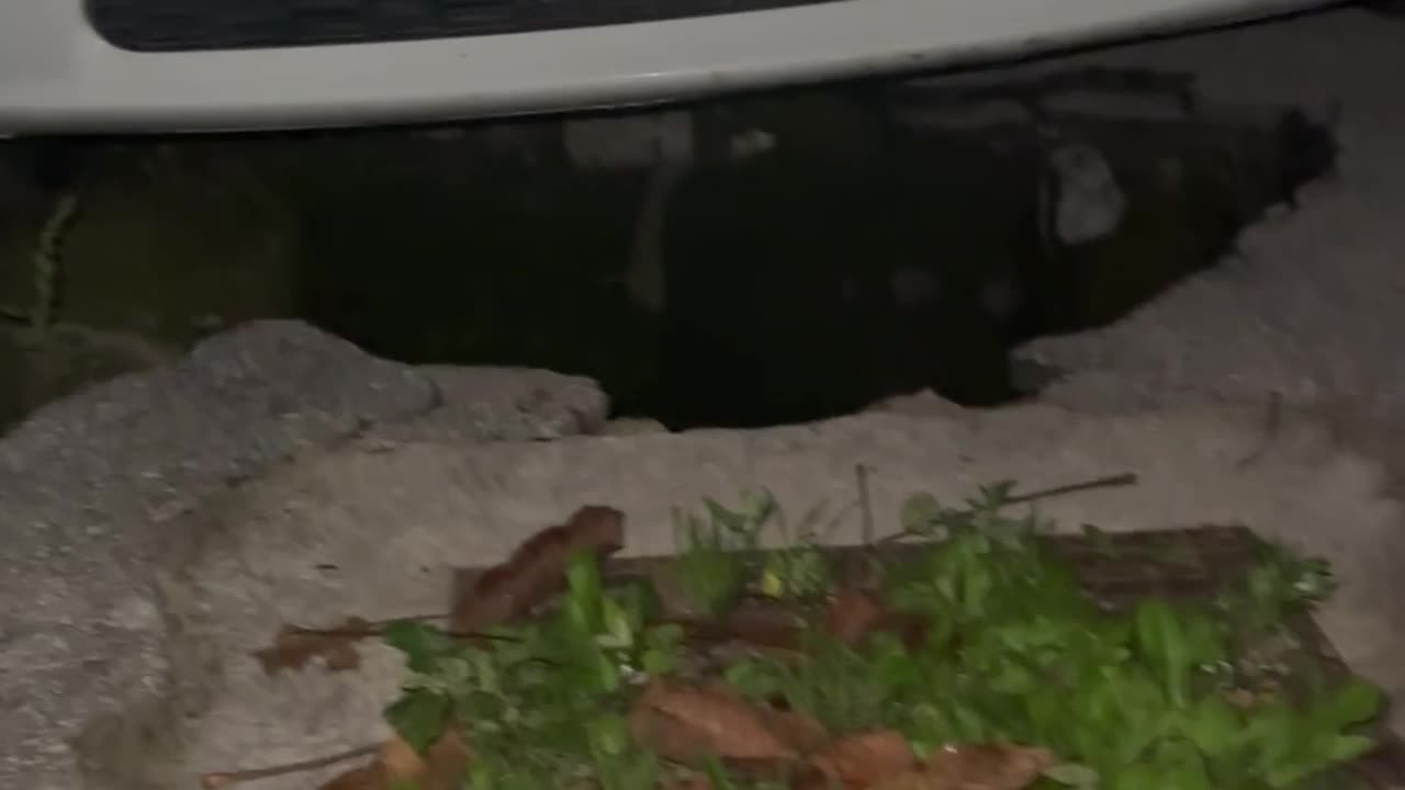 Car Drives Over Large Hole In Ground