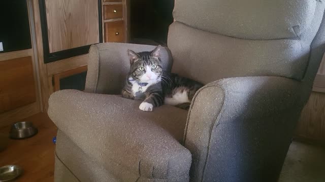 Trixy tested. Trixy approved.