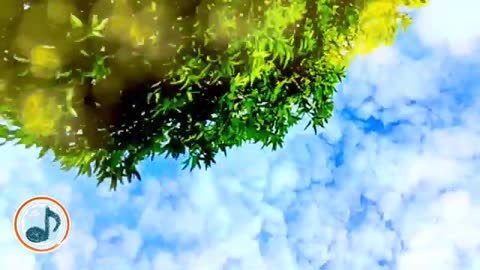 Relaxing Music | Sleeping, Meditation, Stress Relief | [1280] ⭐️
