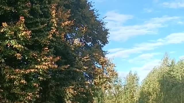 Just regular day ,open your eyes don't need to look far to see beautiful nature