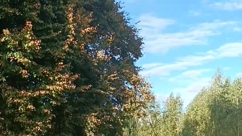 Just regular day ,open your eyes don't need to look far to see beautiful nature
