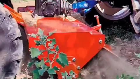 CRC vídeos curiosos