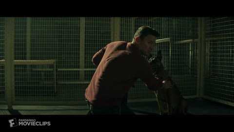 Dog (2022) - Picking up the Dog Scene (110) Movieclips