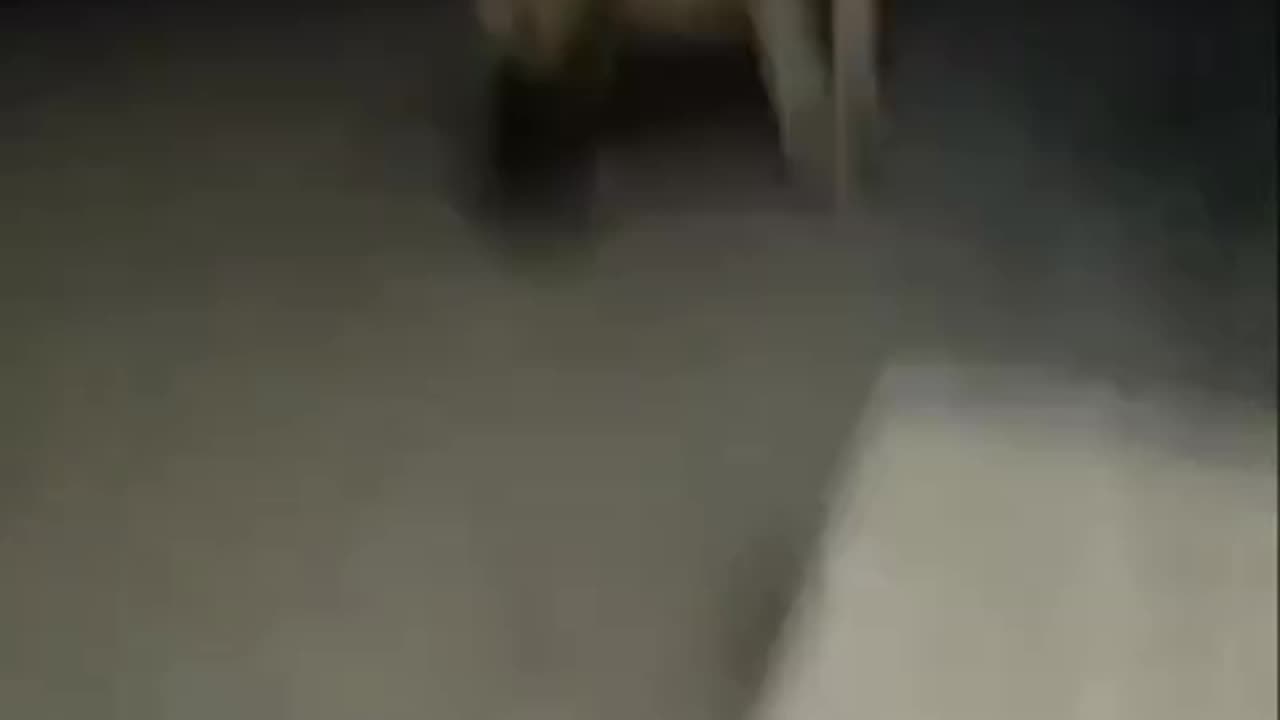 Lion Attack in Gujarat