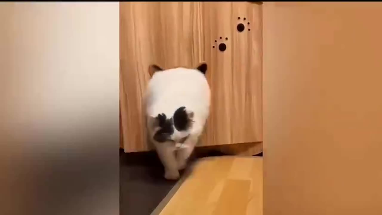 How to be home 😭 a good time to come over and