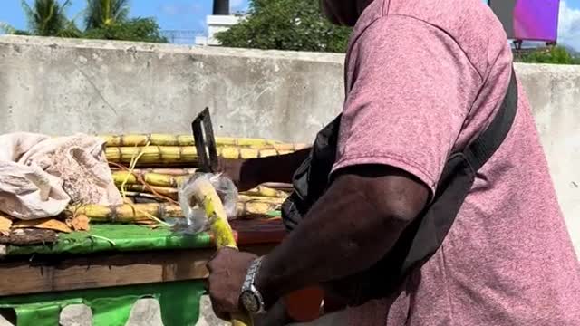 🇩🇲 Sugarcane Man