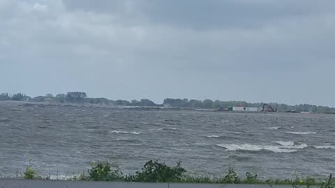 Netherland hoorn