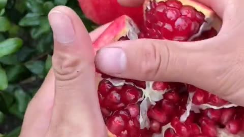Trending Fruit All Country & Cutting Des 4,2023 Part-1 #shorts #viral #trending #fruit