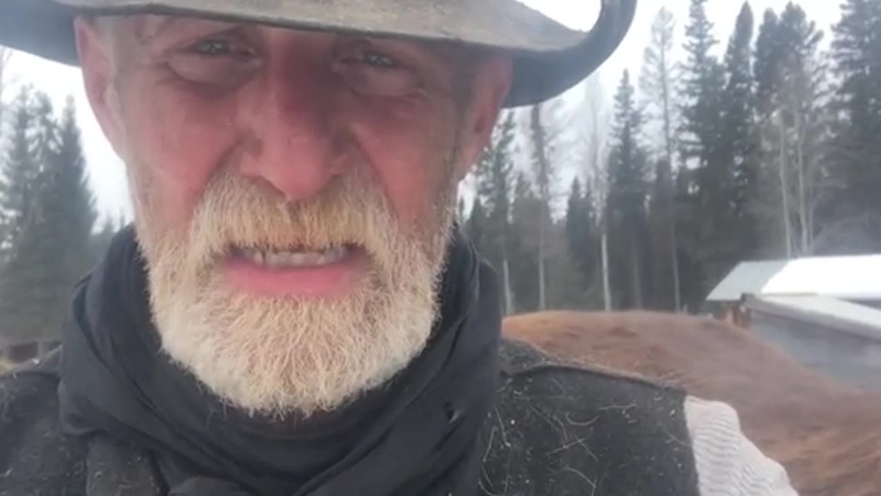 True Canadian Cowboy: Holding Up An Old Mare🐴