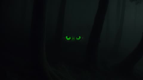 Creature In The Woods