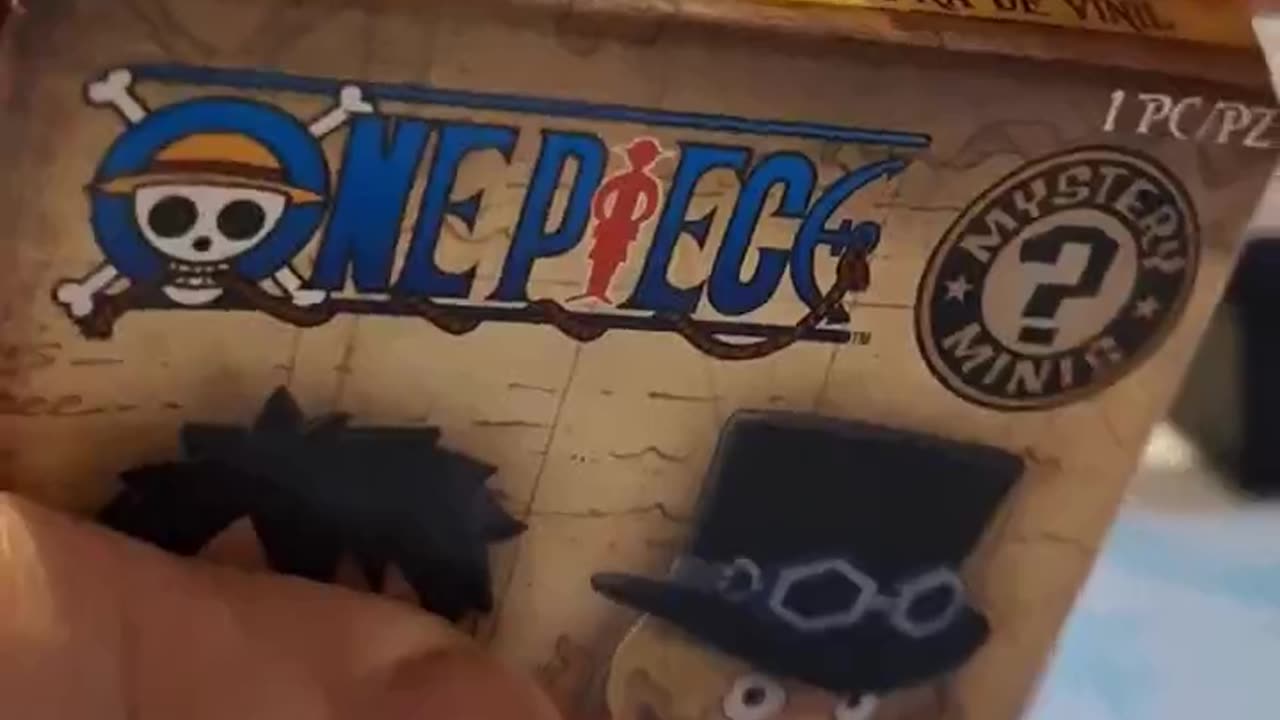 What will we fing in the One Piece unboxing