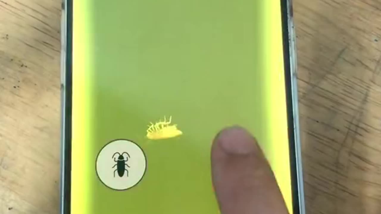 Funny video