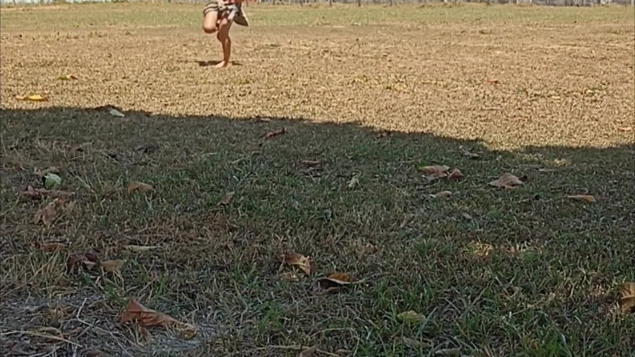 Bird Swoops Down on Girls Playing in Park