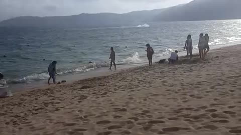 sandy beach