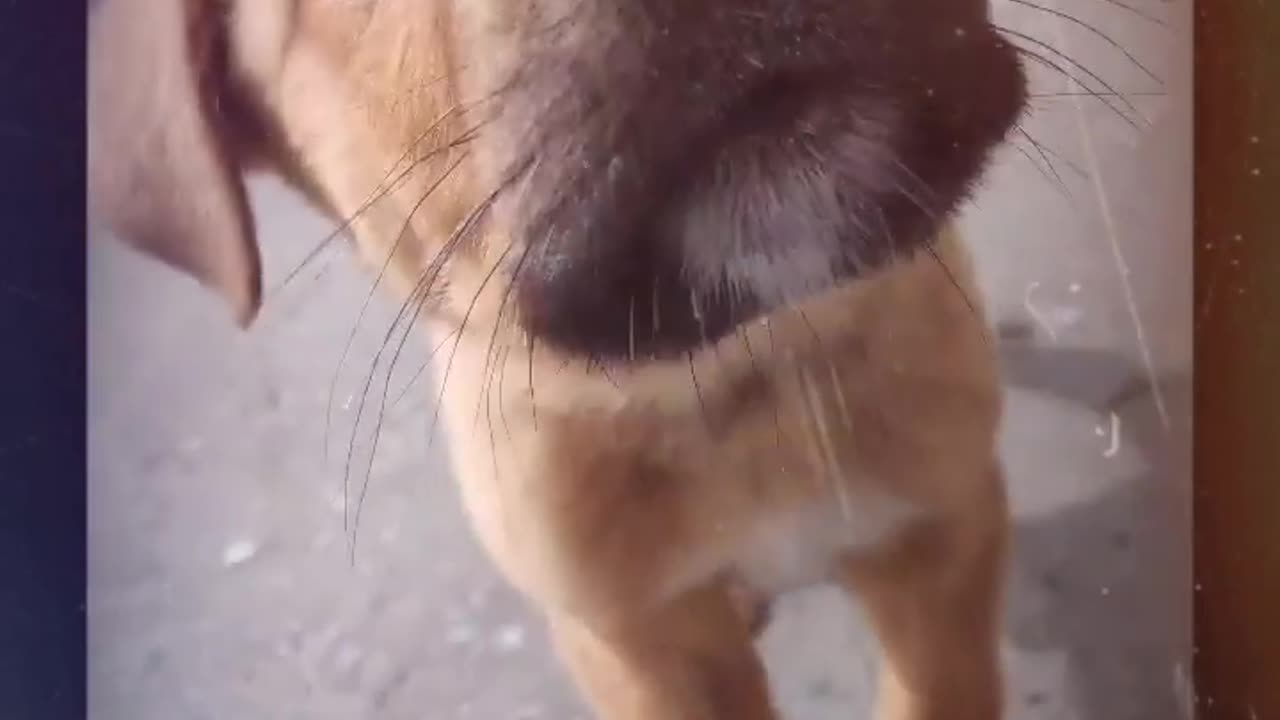 My Name is Red.