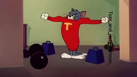 Tom and jerry the best cartoon