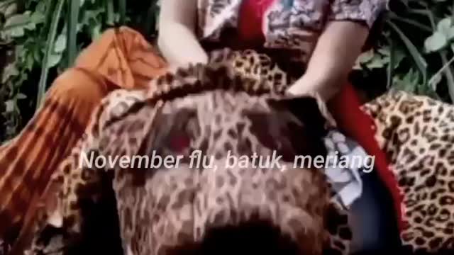 CEWE NAIK BARONGAN REKSO BUDOYO