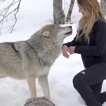 GIRL HOWLS WITH GIANT WOLVES