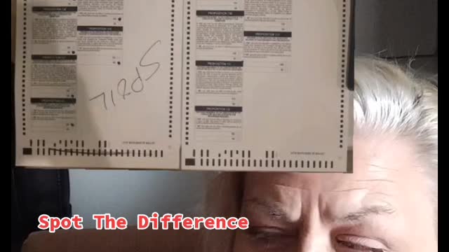 Shall we play a game spot the Difference between the ballots