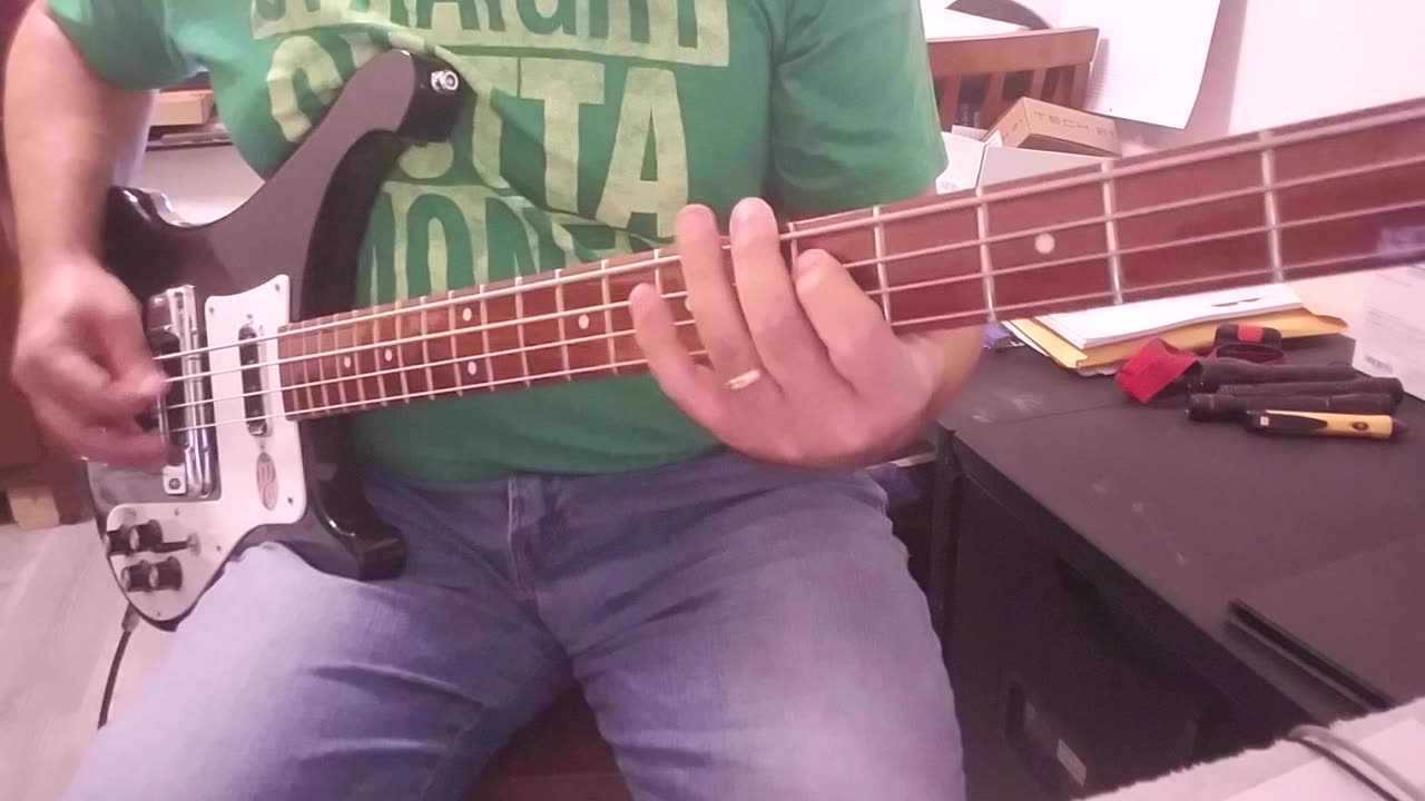 The Lemonheads - Mrs. Robinson Bass Cover