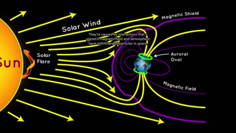 Planetary Aurorae