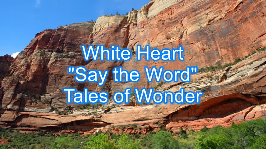 White Heart - Say the Word #292