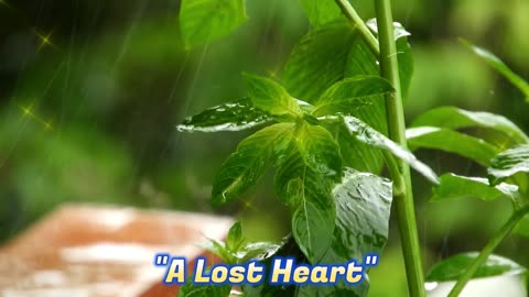 A Lost Heart