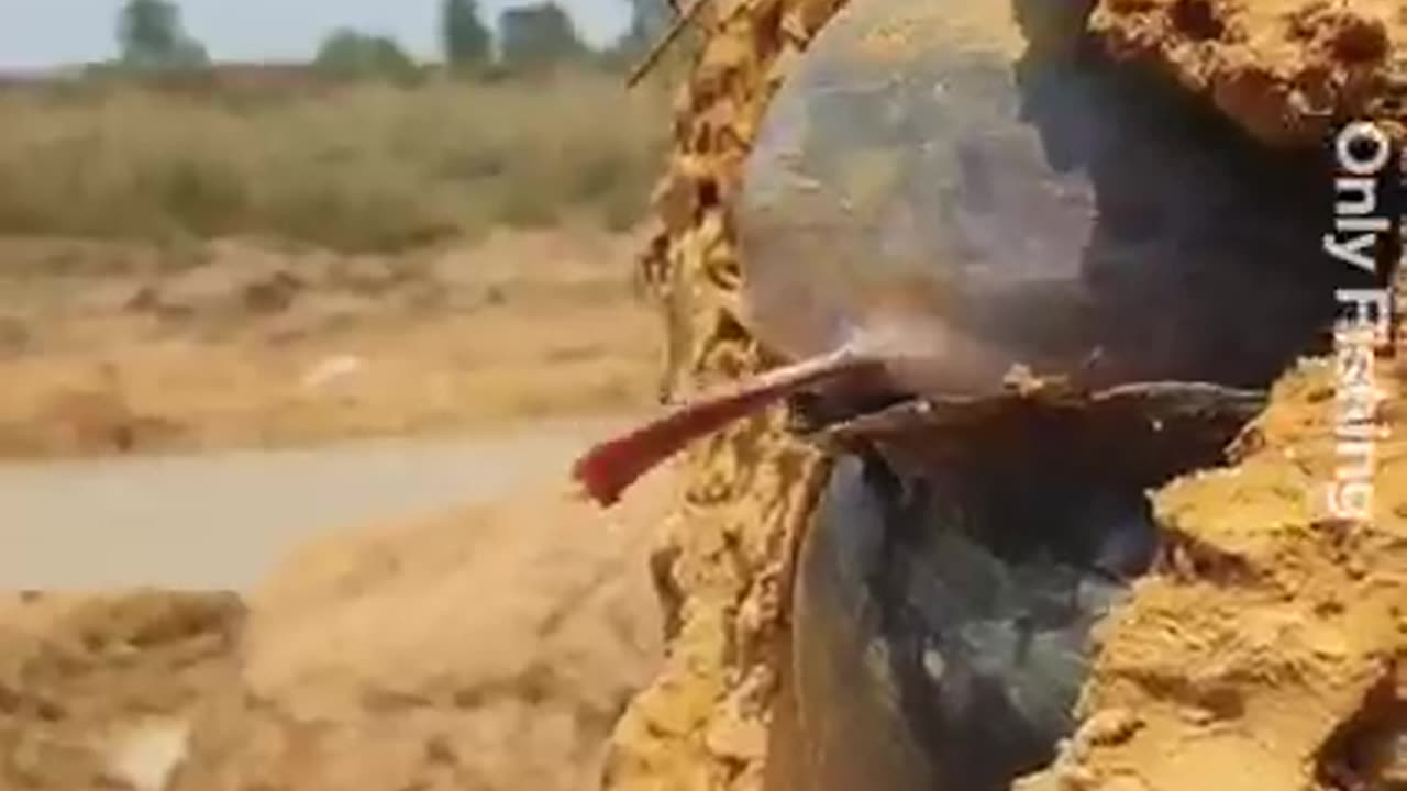 Unique fishing experience in big river dry sand hill underground so many fishes