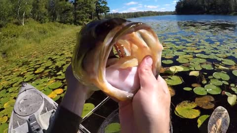 A Relaxing Day Of Frog Bassin'-19