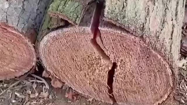 Logging machine