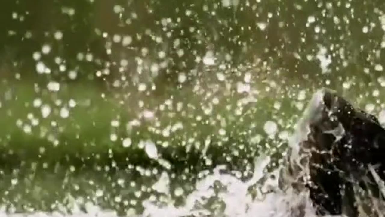 Discovery channels