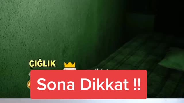 en çok neyden korktunuz #tolgaes