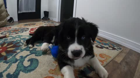 Play Time