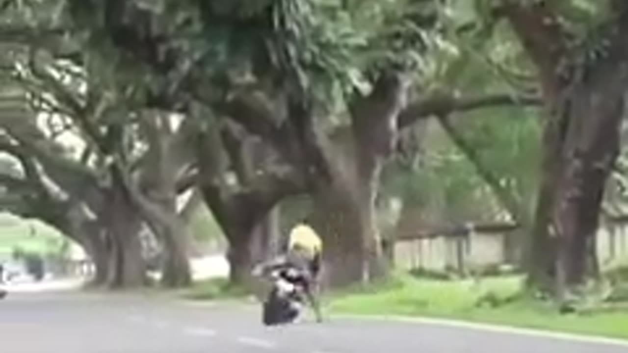Video funny