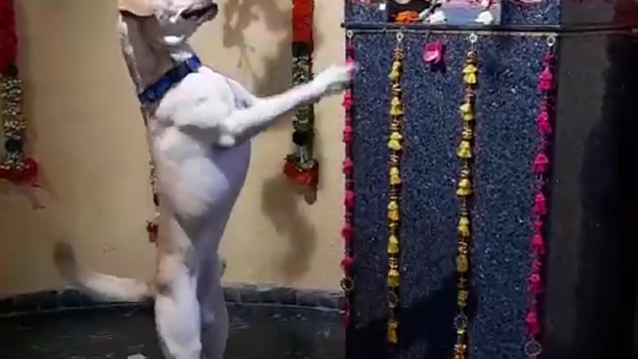 Funny