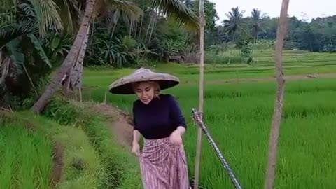 Bermain di Sawah