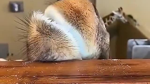 Uh-huh, I know there's more up there