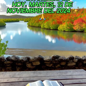 🙏✨Evangelio de HOY. Martes, 12 de Noviembre del 2024 ✨🙏