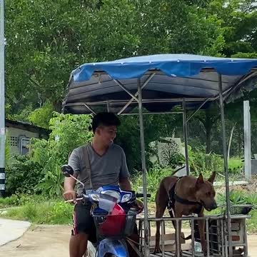 Man Sitting on Motorcycle While Petting His Dog