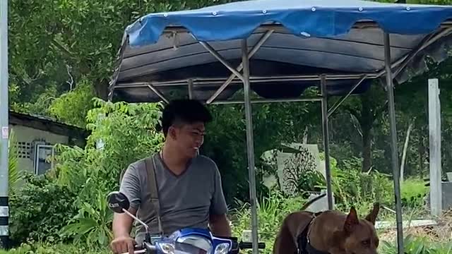 Man Sitting on Motorcycle While Petting His Dog