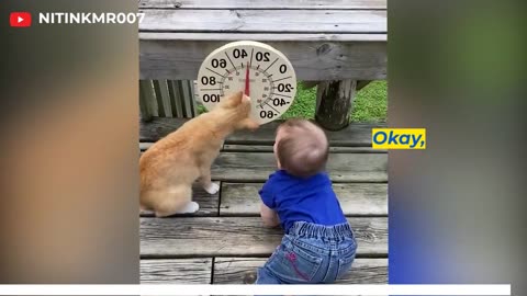 Cutest Babies Play With Dogs And Cats Compilation