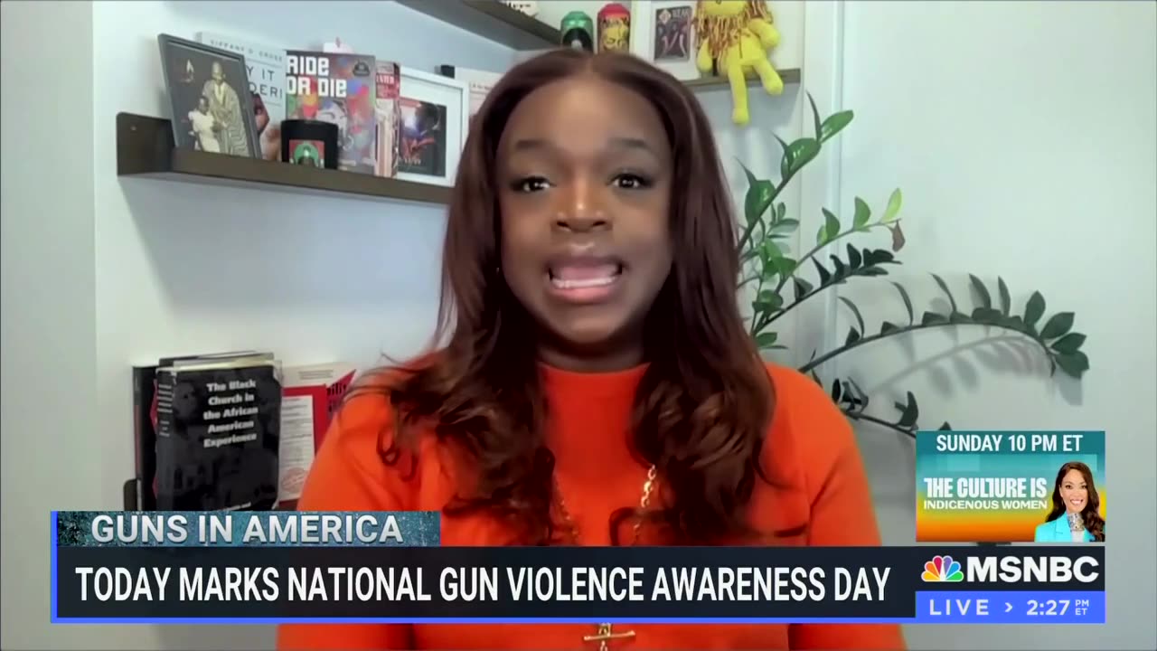 'Built By Violence': MSNBC Panel Rips 'Macho Ethic' Behind Gun Ownership, Self-Defense