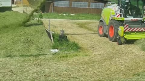 CRC vídeos curiosos