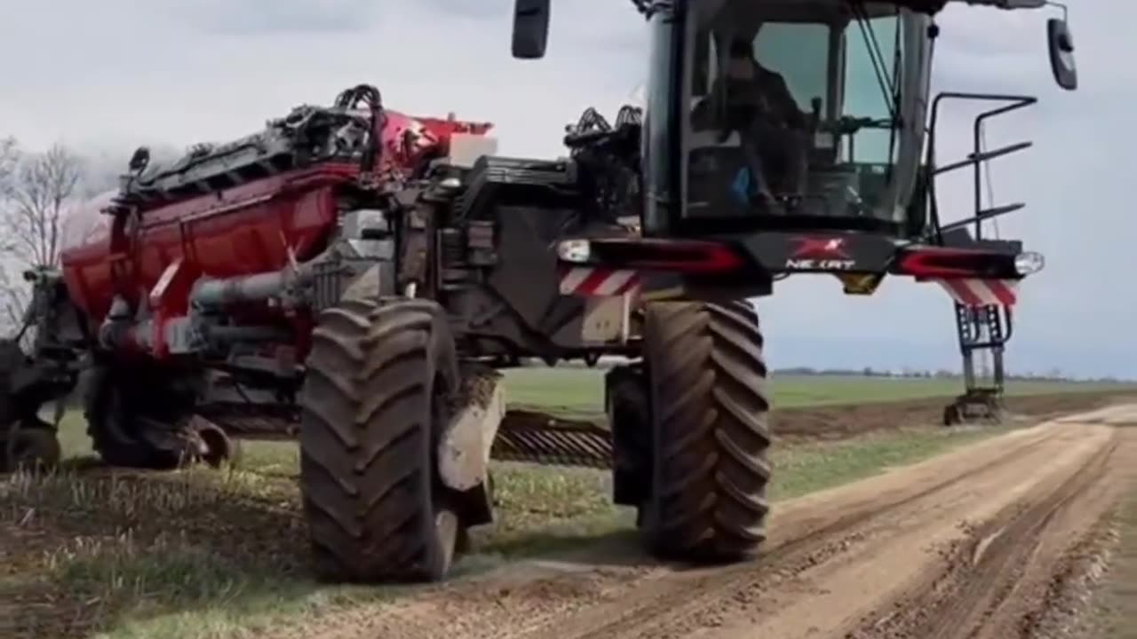 CRC vídeos curiosos