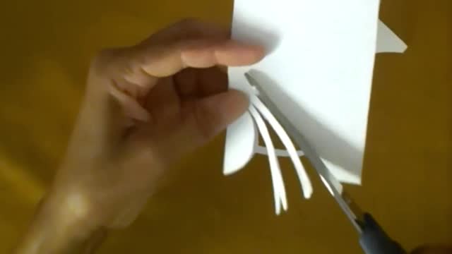 How to cut out a spider without drawing