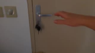 2023-06-01 (1) - (Live sans titre) - Twitch Decheterie