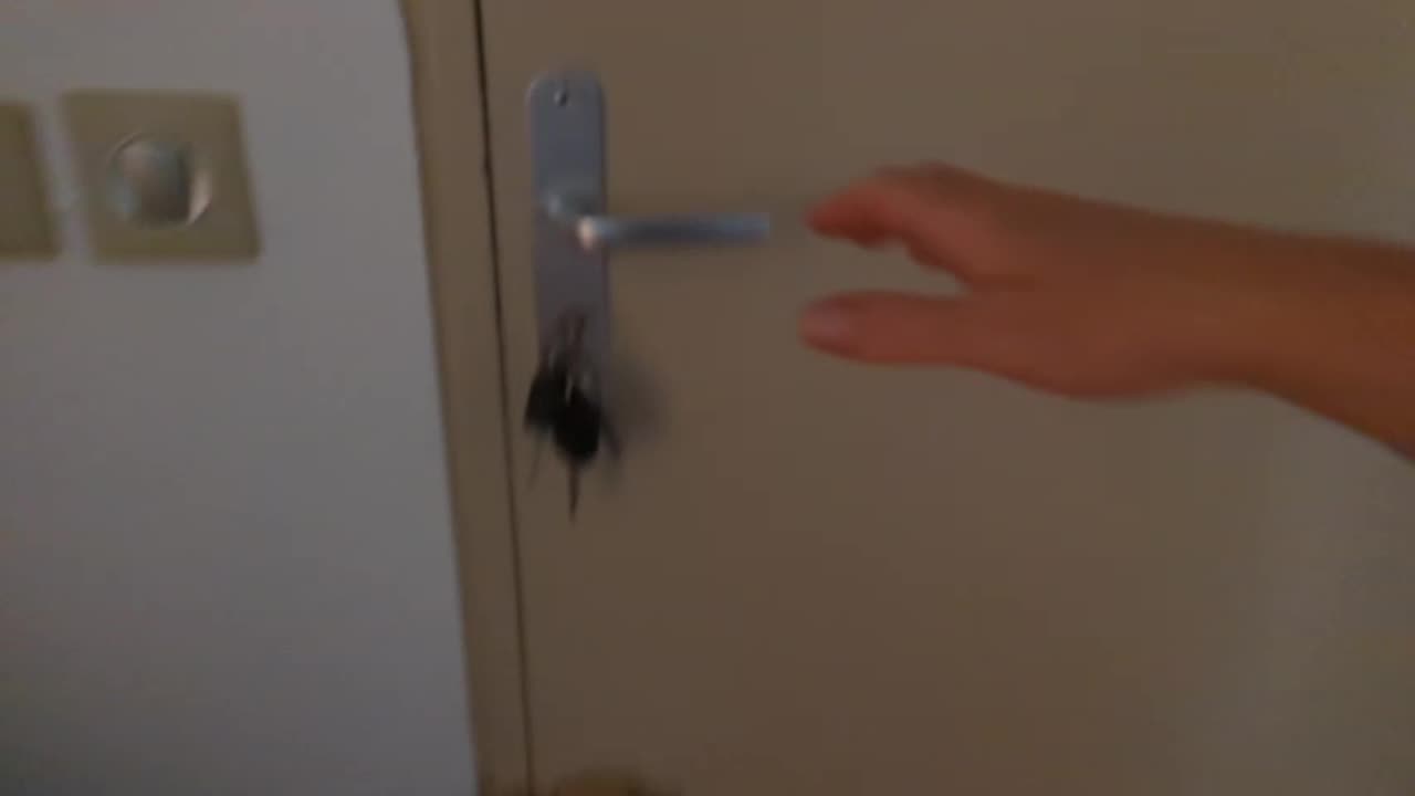 2023-06-01 (1) - (Live sans titre) - Twitch Decheterie