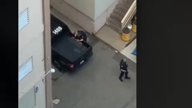 Bricks and police. You decide what you are seeing.