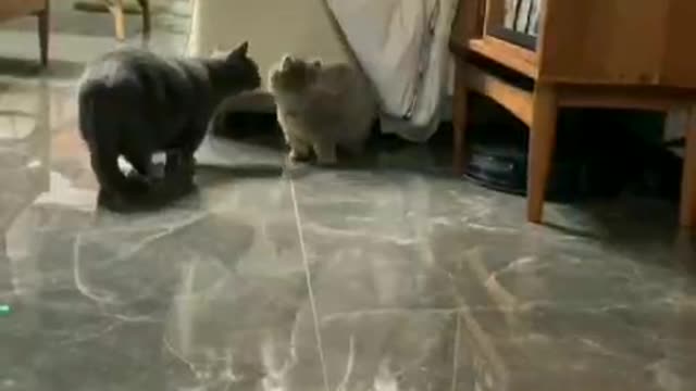 Don't look at me, it's a little embarrassing to fall